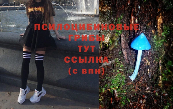 экстази Осташков