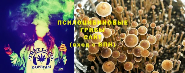 экстази Осташков