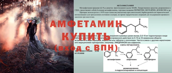 ПСИЛОЦИБИНОВЫЕ ГРИБЫ Пересвет
