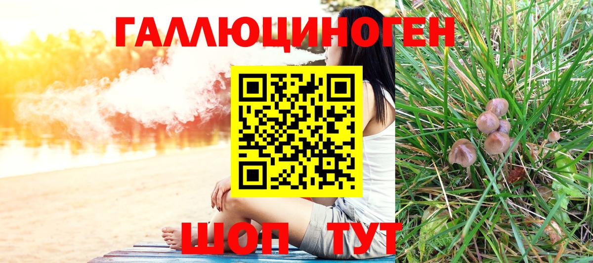 Галлюциногенные грибы Psilocybine cubensis  Великие Луки 