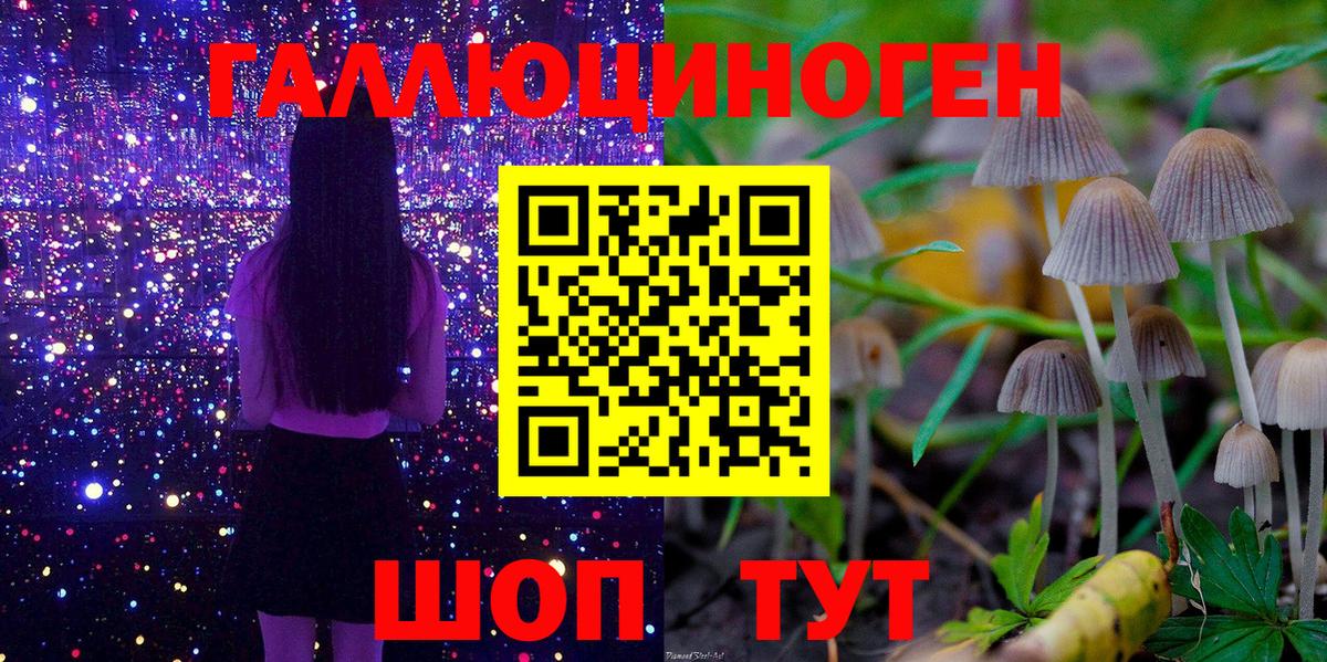 Галлюциногенные грибы ЛСД  где можно купить наркотик  Великие Луки  Вход с VPN 